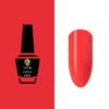 NW1110 Gel Polish 5ml 12 pcs