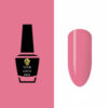 NW2079 Gel Polish 15ml 25 pcs